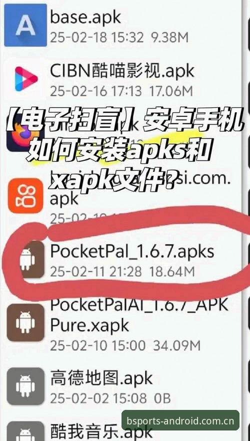 BSPORTS手机版推荐：安卓用户必备的实用下载指南